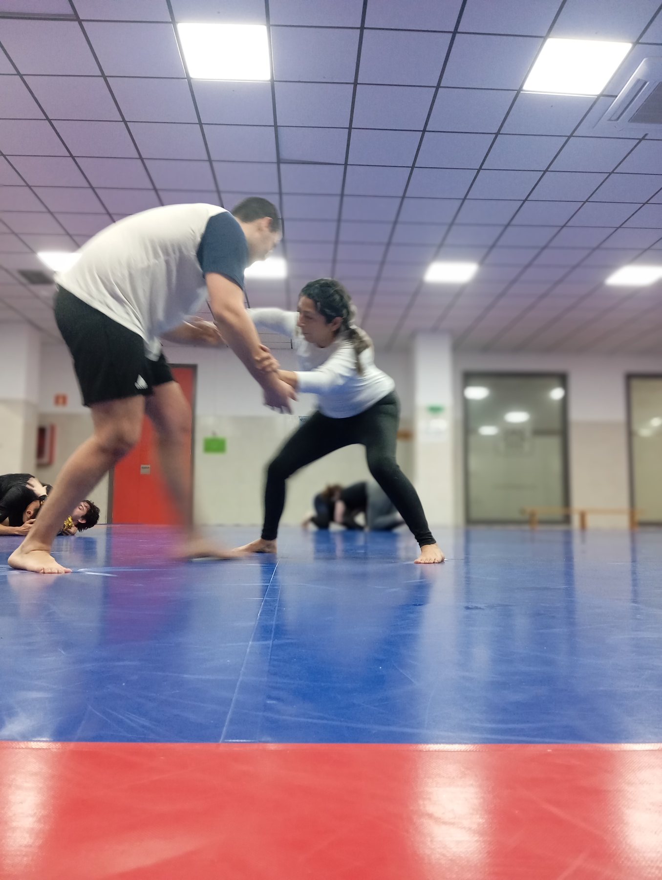 Adultos: tecnica y control en Club Free Style BJJ