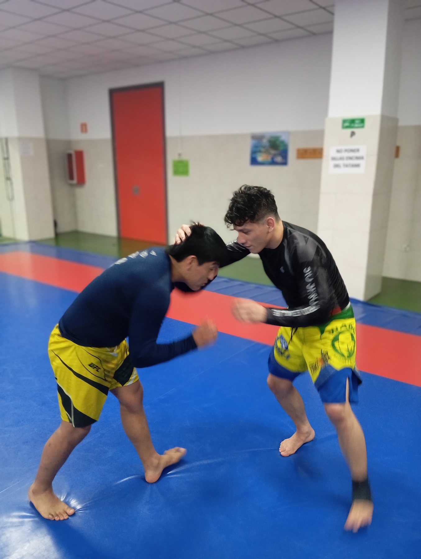 Adultos Gi y No-Gi en Salesianos Paseo - entrenamiento supervisado
